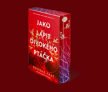 Drsná dystopická romantasy