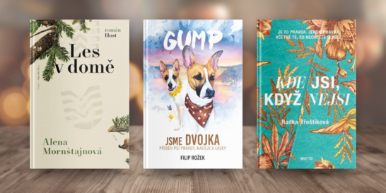 Známe 10 nejprodávanějších knih roku 2023. Tipnete si, které to jsou?