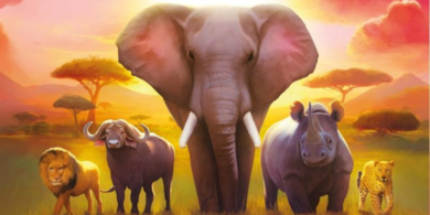 Velká pětka: Super zábavná desková hra, se kterou navštívíte safari v pohodlí domova | RECENZE