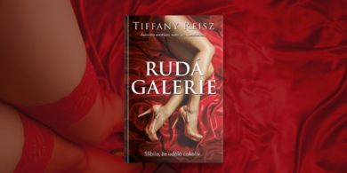 Rudá galerie – jeden z nejodvážnějších erotických románů současnosti