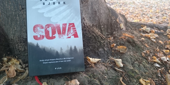 Bjorkova novinka Sova přilétá na křídlech mrazivého napětí