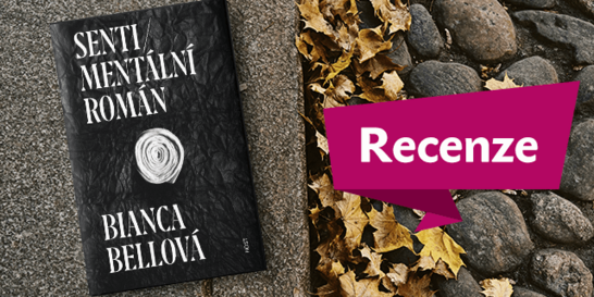 RECENZE: Sentimentální román