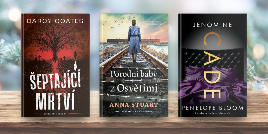 5 nejčtivějších knižních novinek pro měsíc leden... a ještě něco navíc! - titulní obrázek