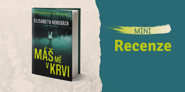 RECENZE: Máš mě v krvi - titulní obrázek