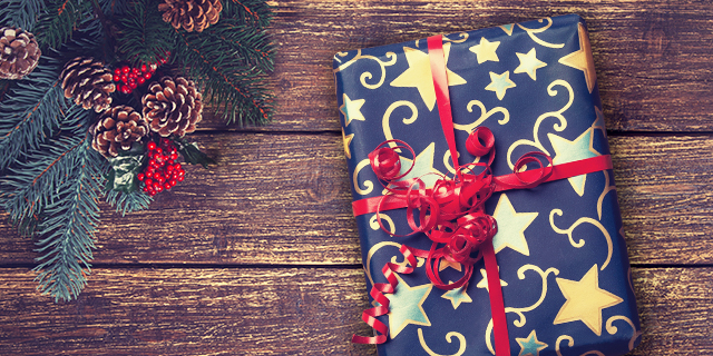 Chcete nadělit knížky pod stromeček? Vybrali jsme nejlepší tipy na dárky - titulní obrázek