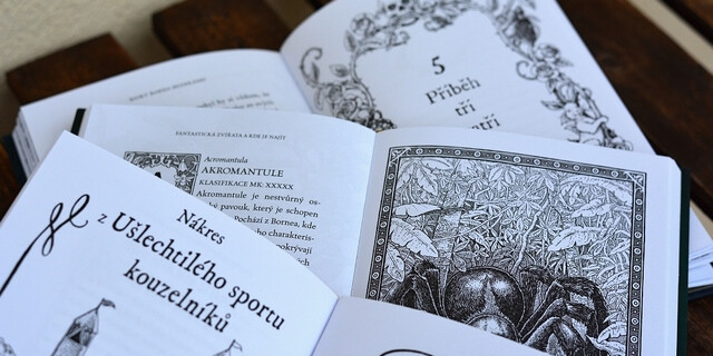 J. K. Rowlingová píše učebnice?! - titulní obrázek