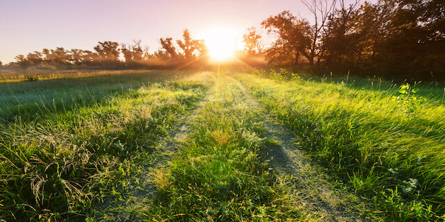 Proč nejsme šťastní, když šťastní být chceme? Ukrývají slova recept na naplněný život? - titulní obrázek