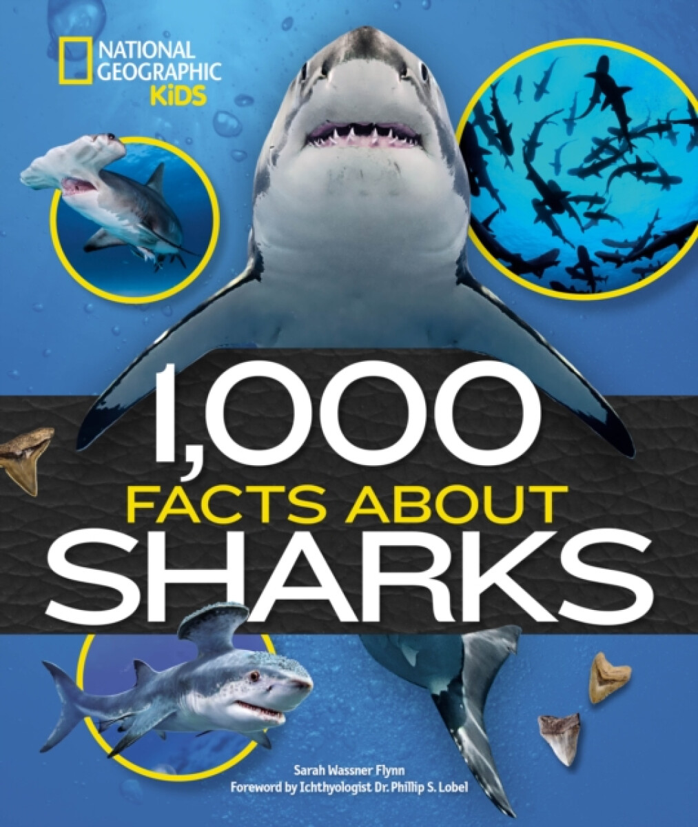 Kniha 1,000 Facts About Sharks