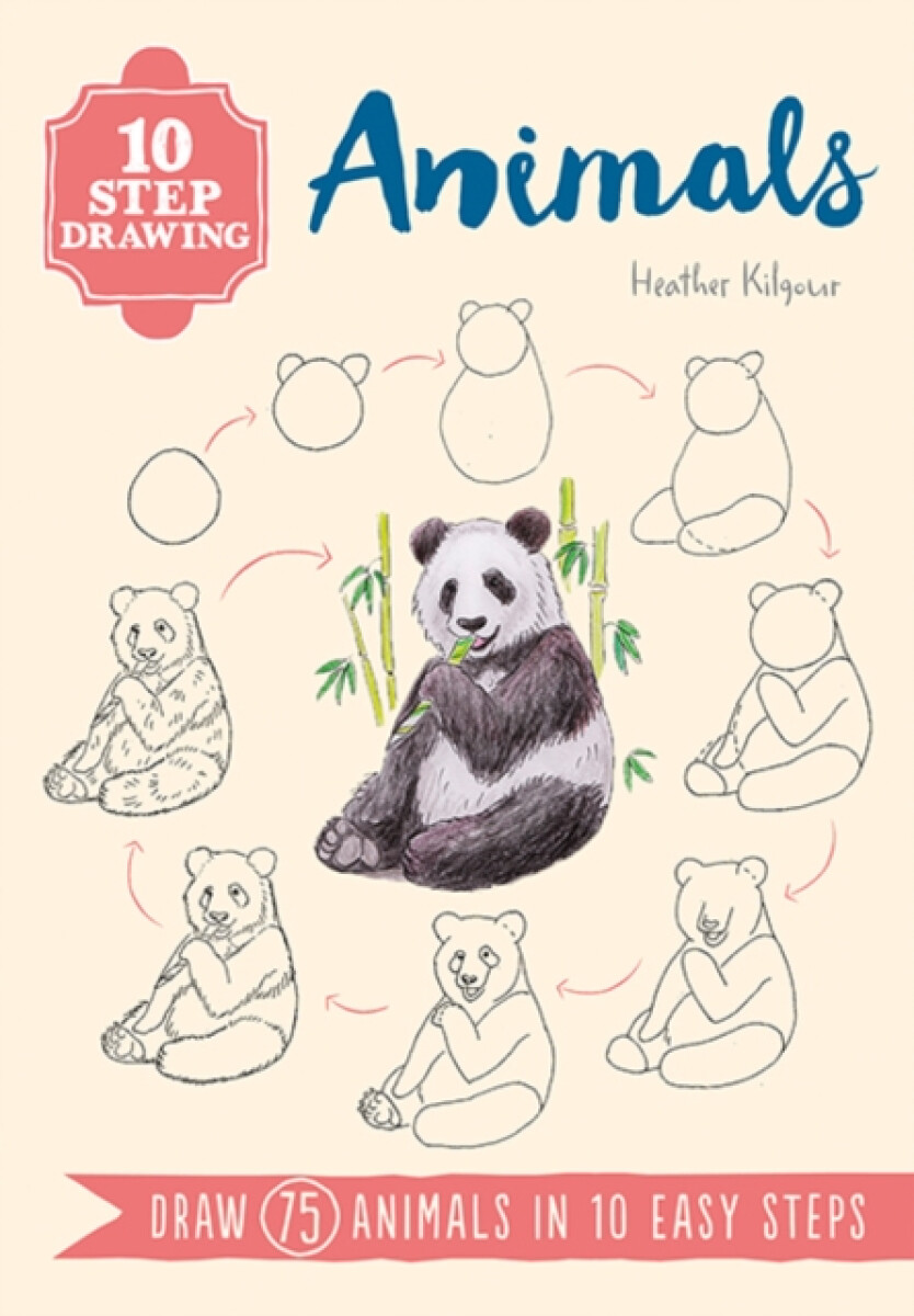 Kniha 10 Step Drawing: Animals