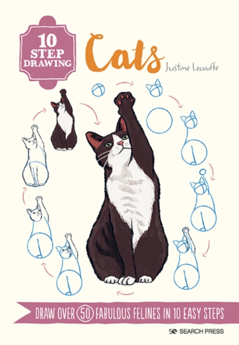 Kniha 10 Step Drawing: Cats