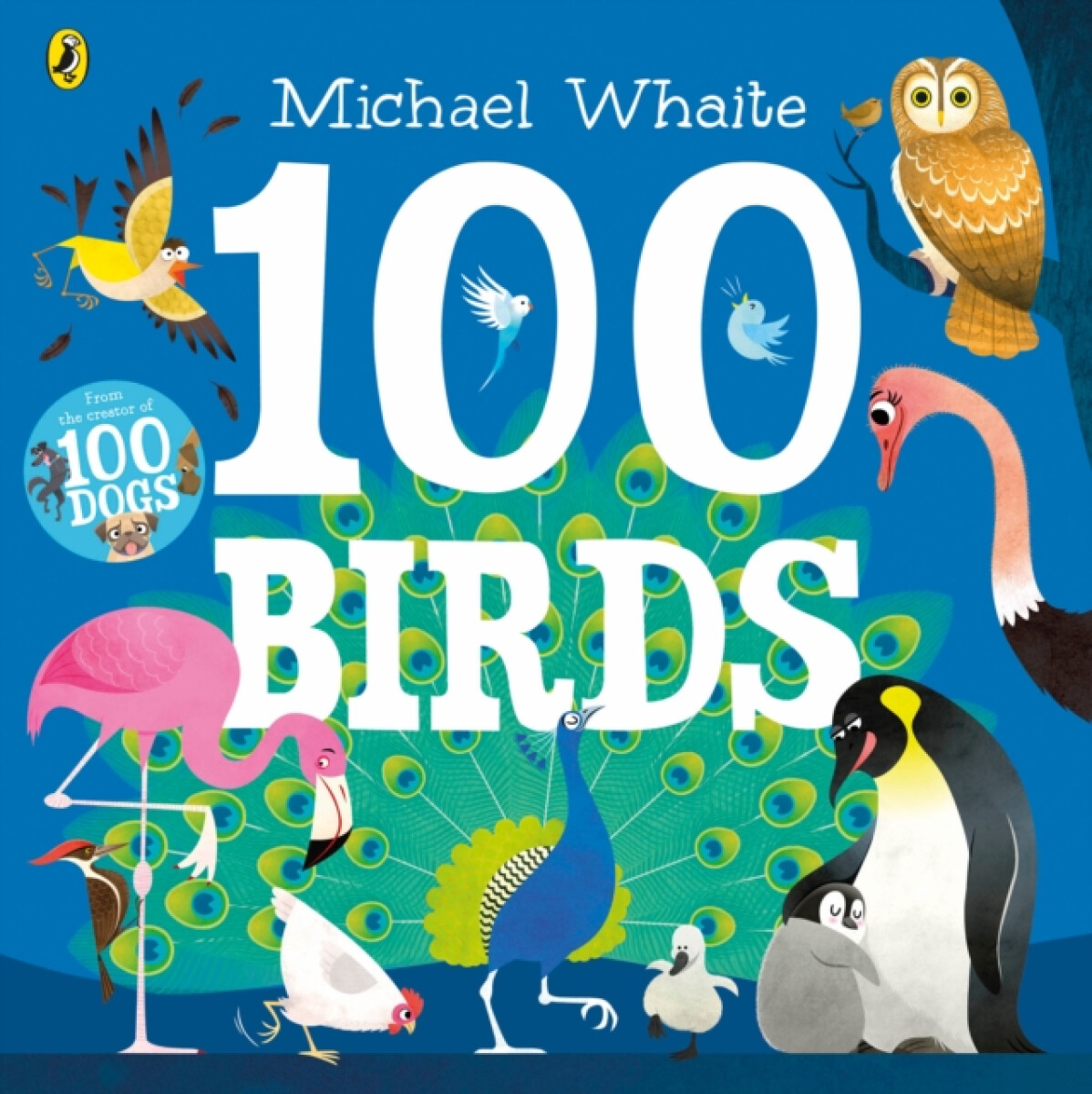 Kniha 100 Birds