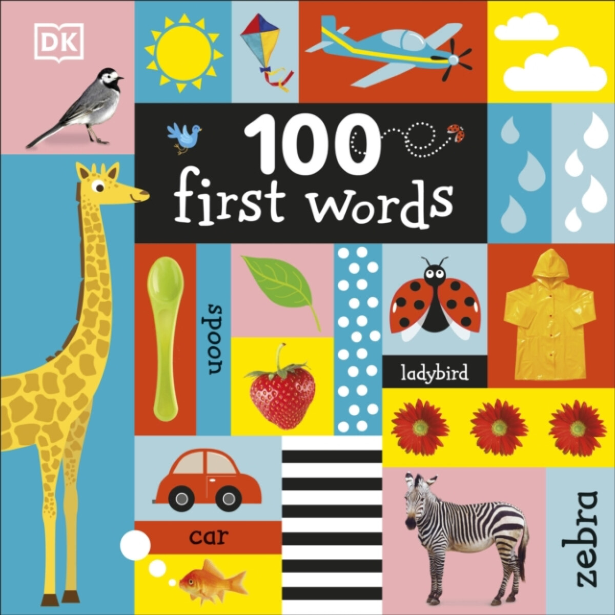 Kniha 100 First Words