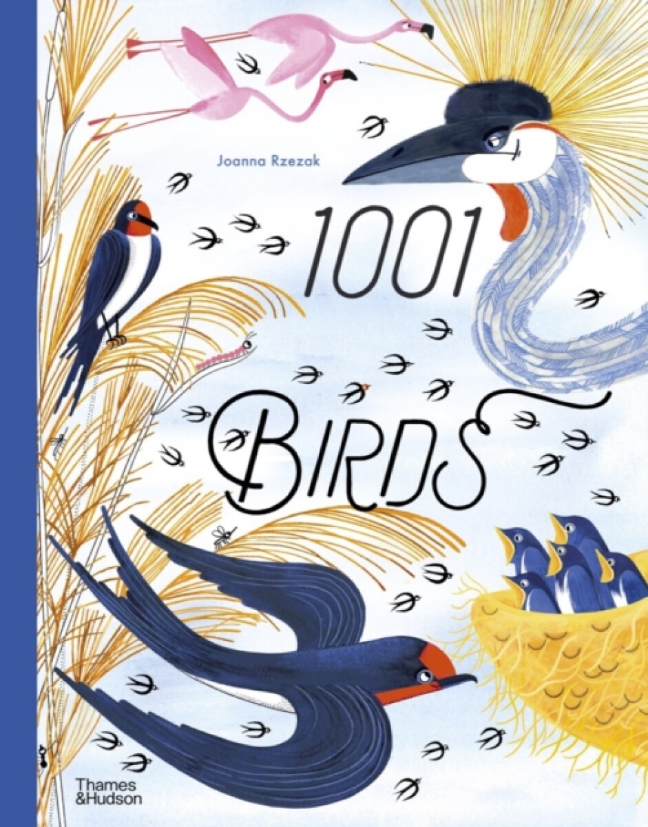 Kniha 1001 Birds