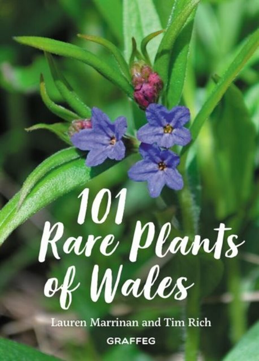 Kniha 101 Rare Plants of Wales