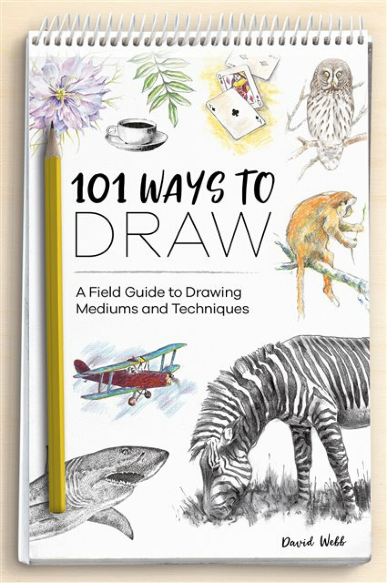Kniha 101 Ways to Draw