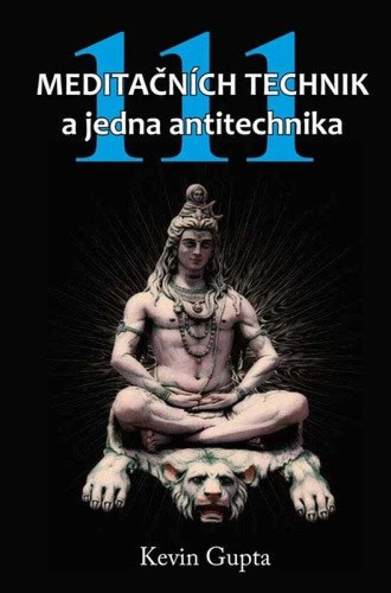 Kniha 111 meditačních technik a jedna antitechnika