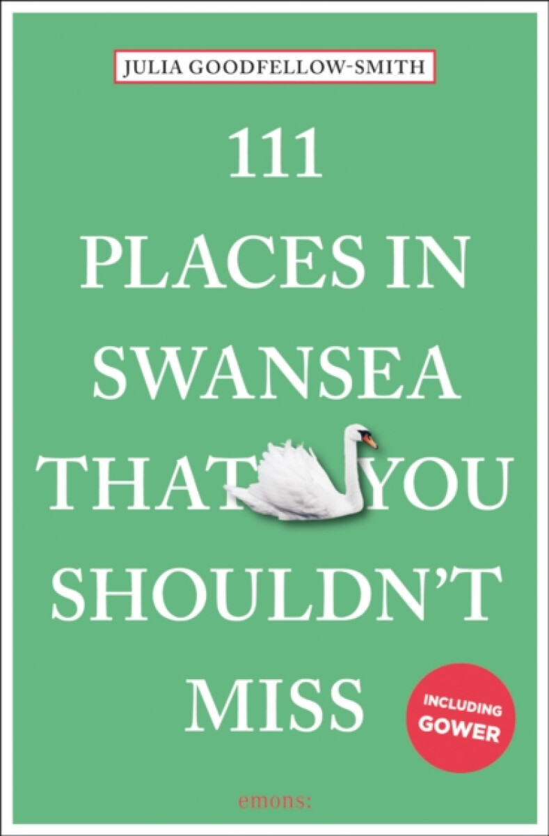 Kniha 111 Places in Swansea That You Shouldn't Miss