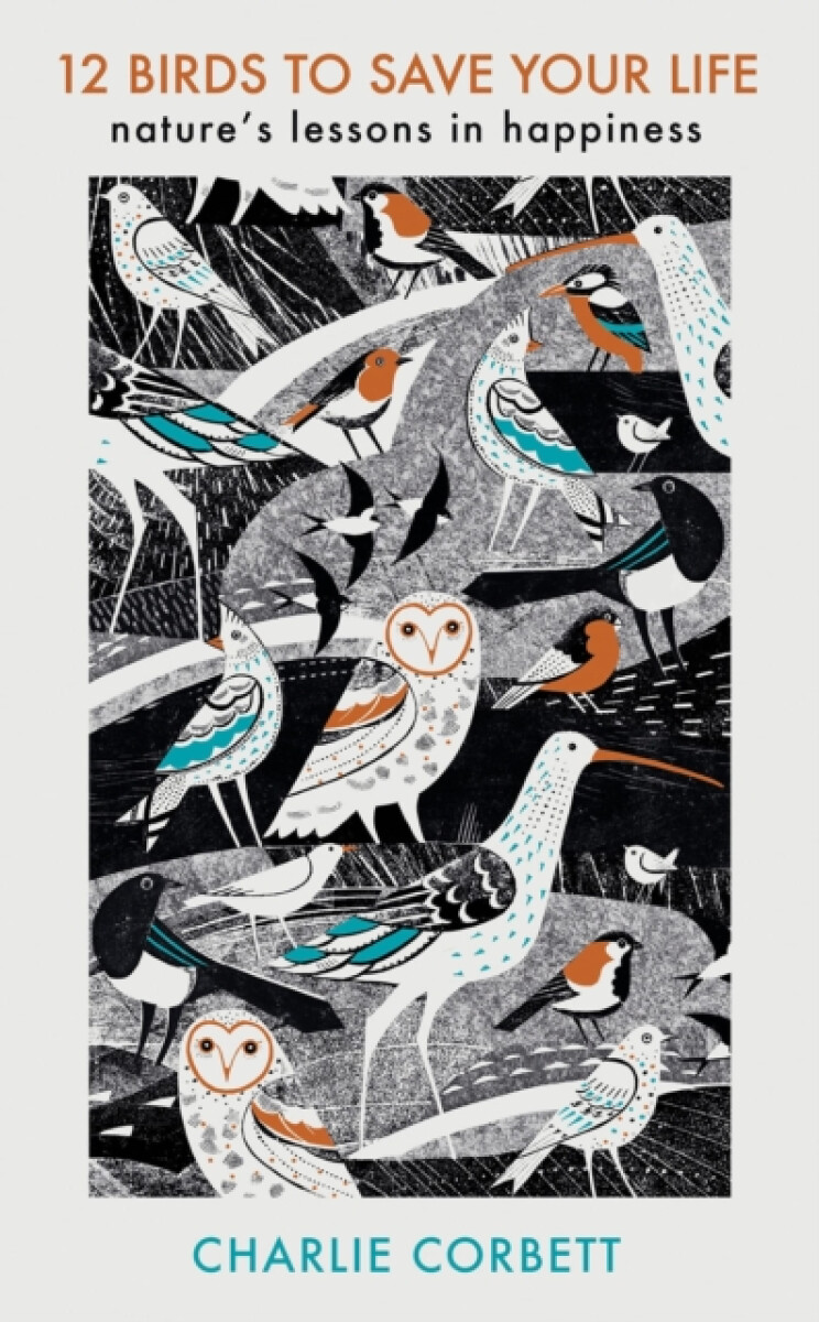 Kniha 12 Birds to Save Your Life