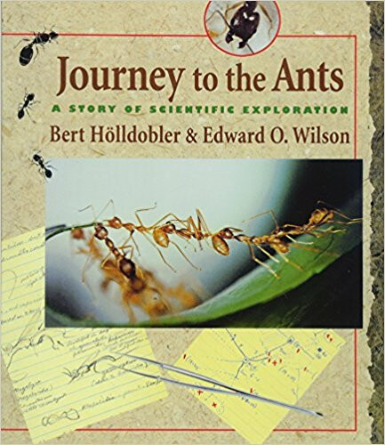 Kniha Journey to the Ants