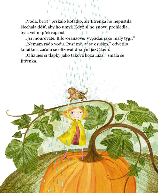 Jitřenka - Zuzana Štelbaská (obrázek 3)