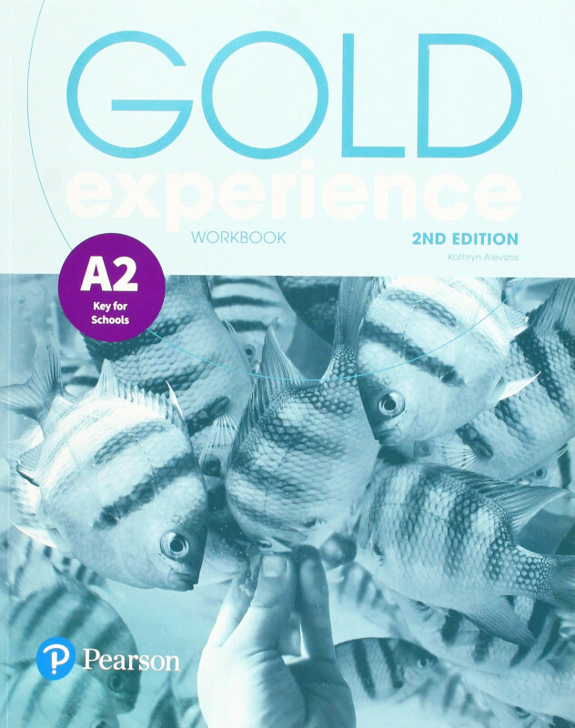 Kniha Gold Experience A2: Workbook
