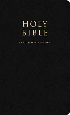 Kniha Holy Bible