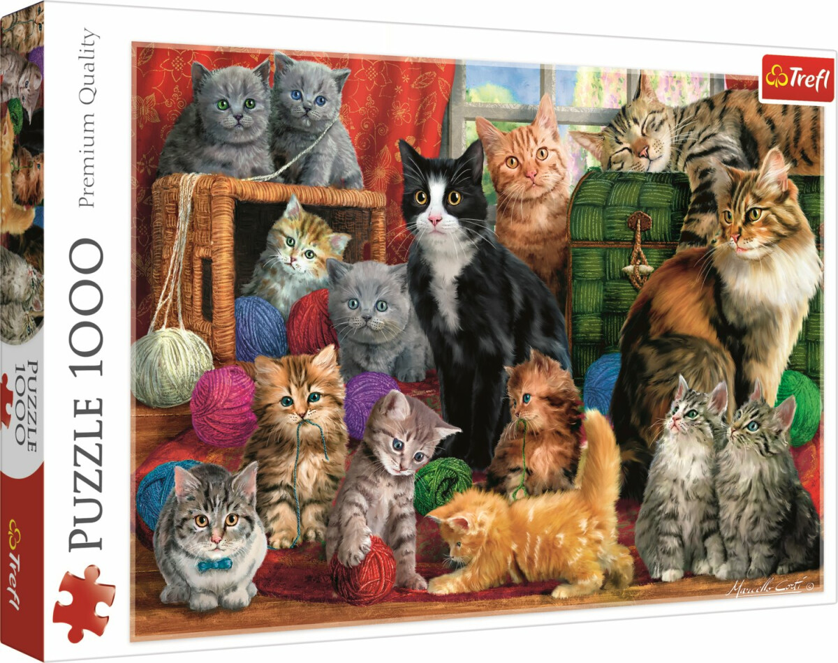 Levně Trefl Puzzle Kočičí setkání / 1000 dílků