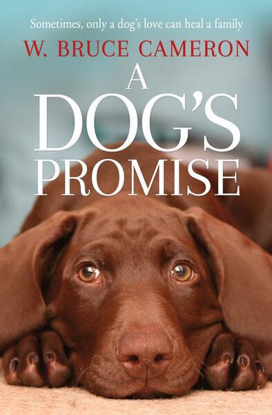 Kniha A Dog's Promise