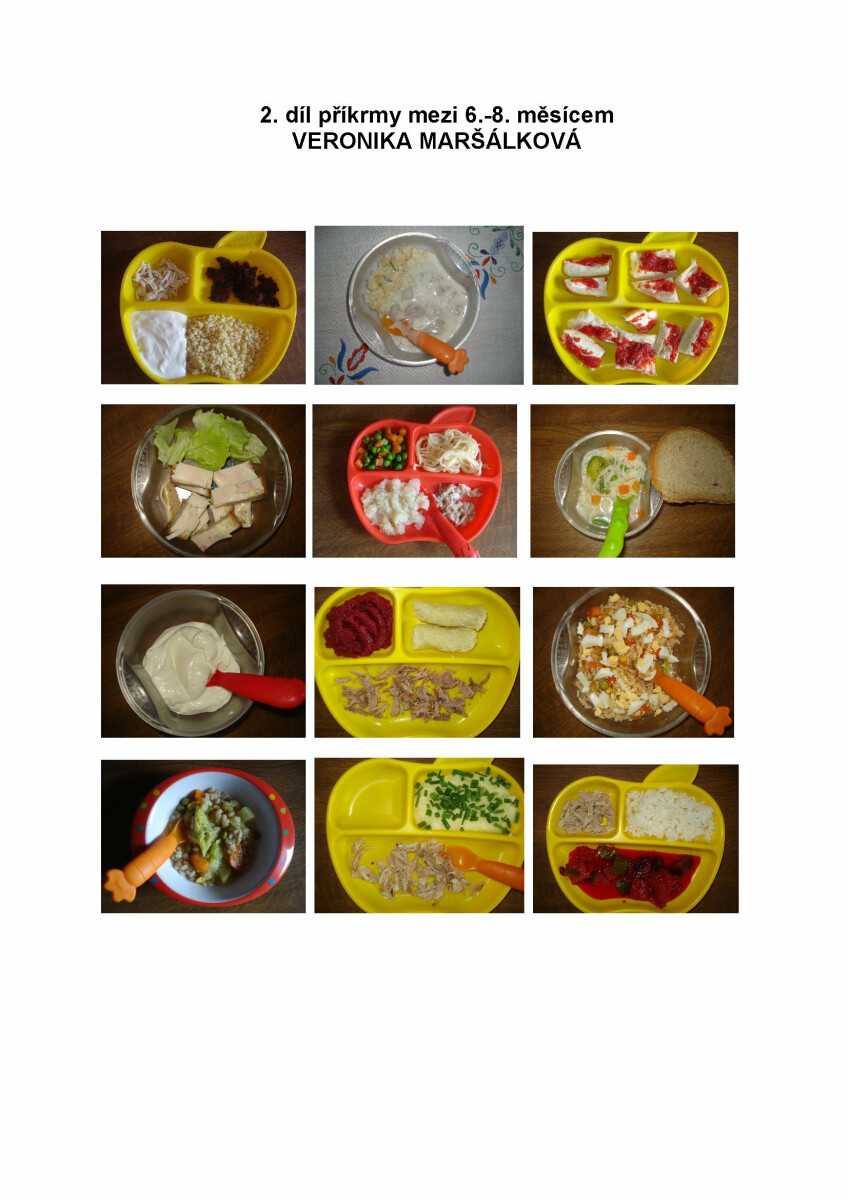 2. díl příkrmy mezi 6-8 měsícem - od ukončeného 6. měsíce do neukončeného 8. měsíce - Veronika Maršálková