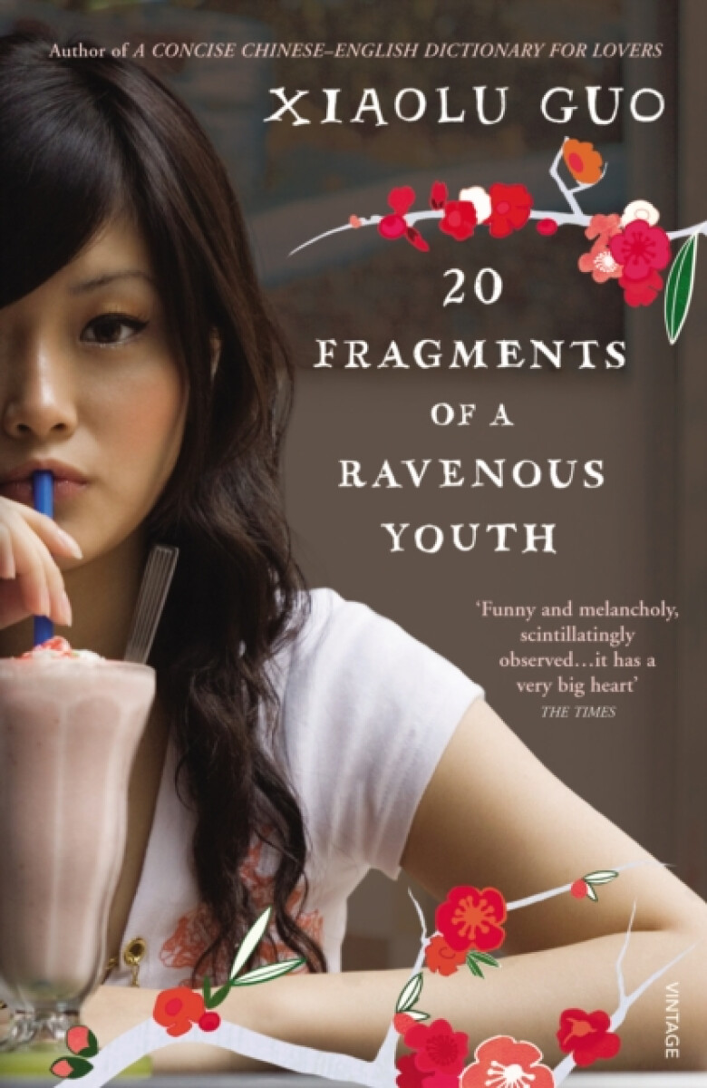 Kniha 20 Fragments of a Ravenous Youth