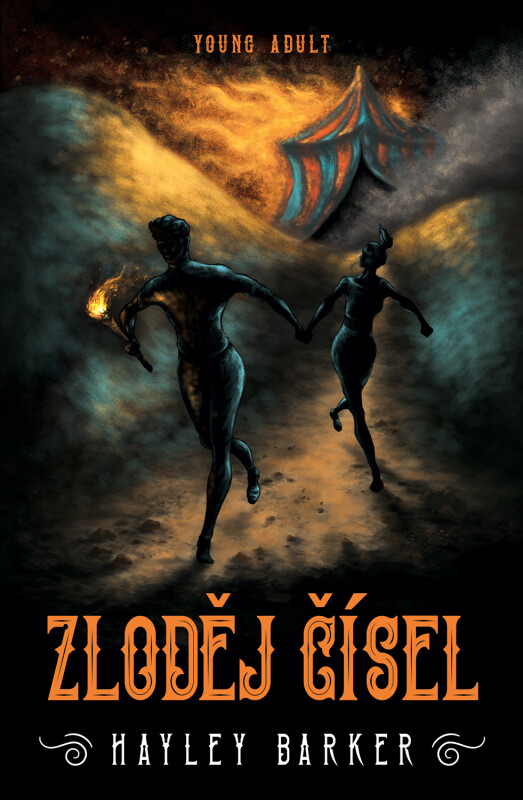 Kniha Zloděj čísel