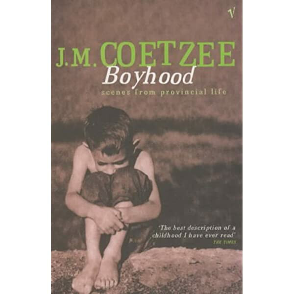 Kniha Boyhood