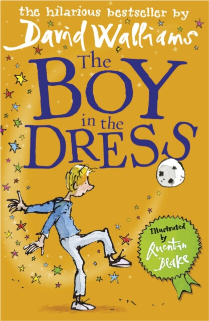 The Boy in the Dress - David Walliams (obrázek 3)