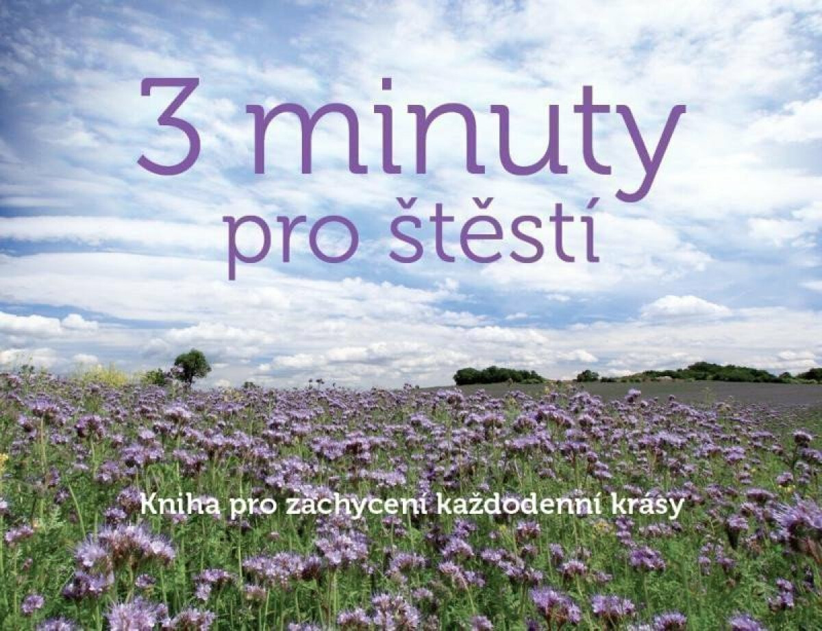 3 minuty pro štěstí - Kniha pro zachycení každodenní krásy koupíte na Knihydobrovsky.cz