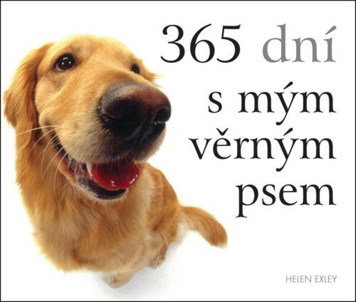 Kniha 365 dní s mým věrným psem