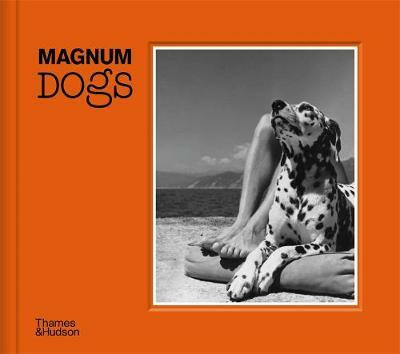 Kniha Magnum Dogs