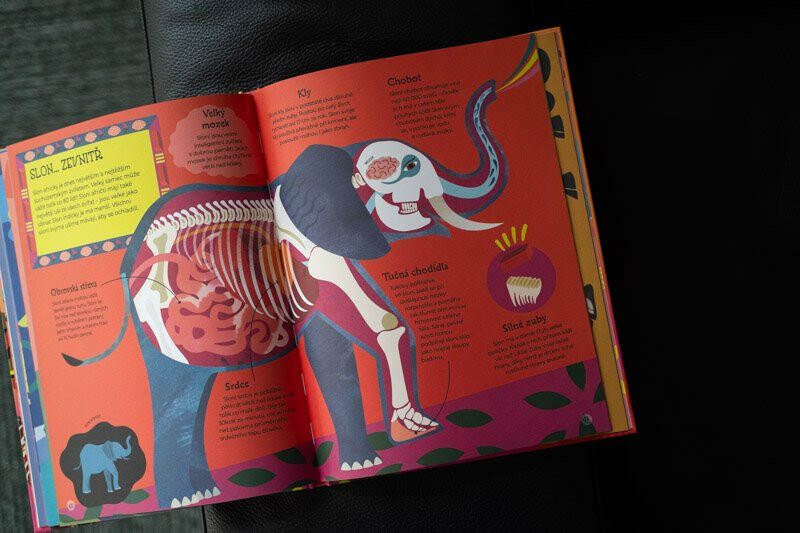 Zvířátka naruby - Kelly Miles - Obrázek 3