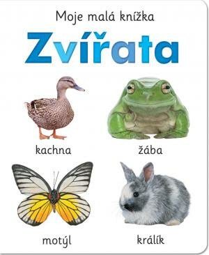 Kniha Moje malá knížka