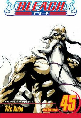 Kniha Bleach 45