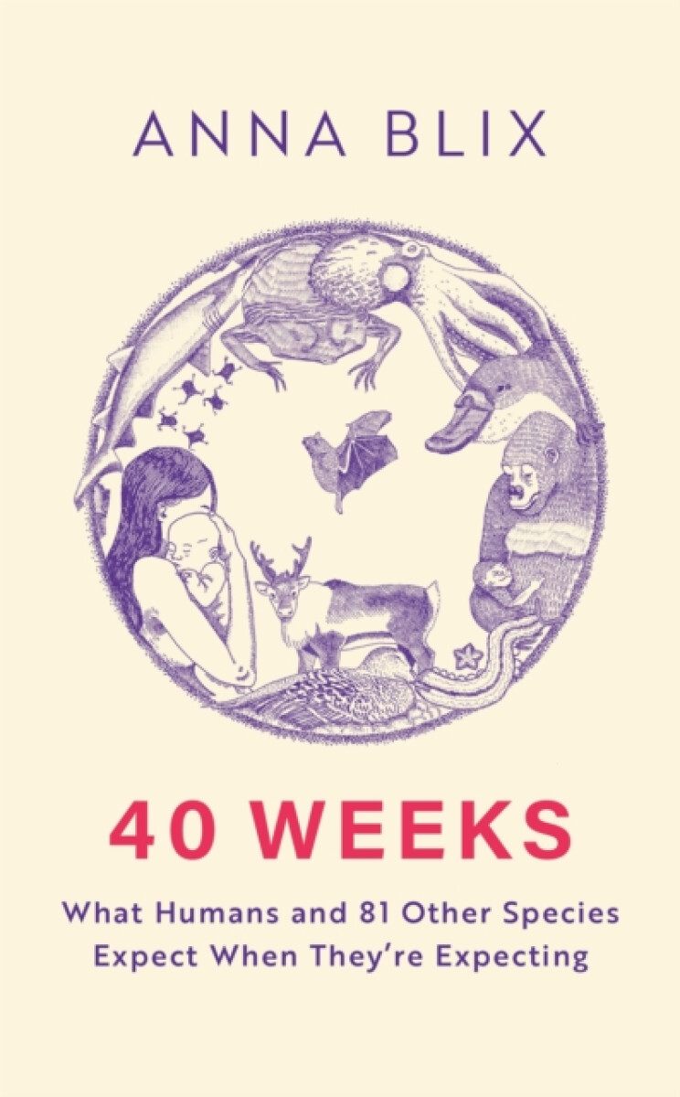 Kniha 40 Weeks