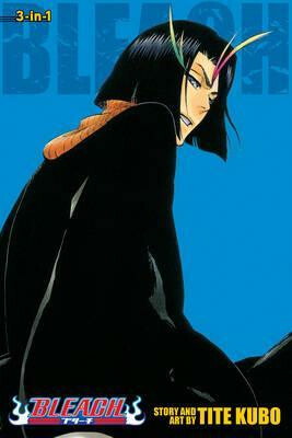 Kniha Bleach 13