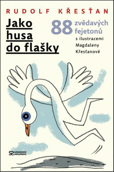 Kniha Jako husa do flašky