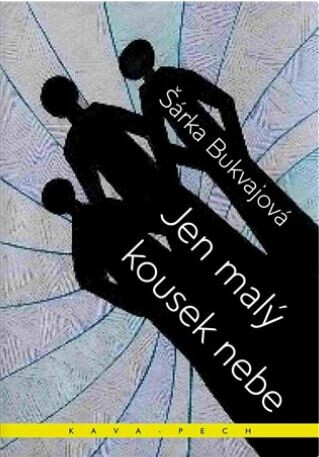 Kniha Jen malý kousek nebe