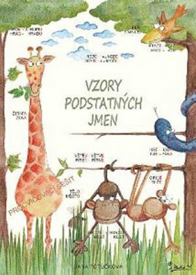 Kniha Vzory podstatných jmen - Procvičovací sešit z ČJ pro 4. ročník ZŠ