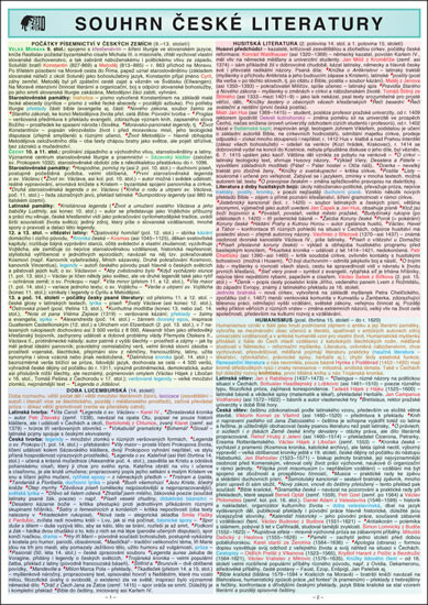 Kniha Souhrn české literatury pro strední školy