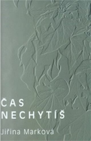 Kniha Čas nechytíš