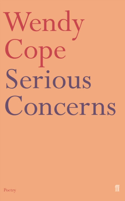 Serious Concerns - Cope Wendy (obrázek 3)
