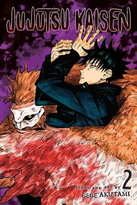Kniha Jujutsu Kaisen 2
