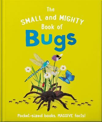 Kniha Small and Mighty Book of Bugs