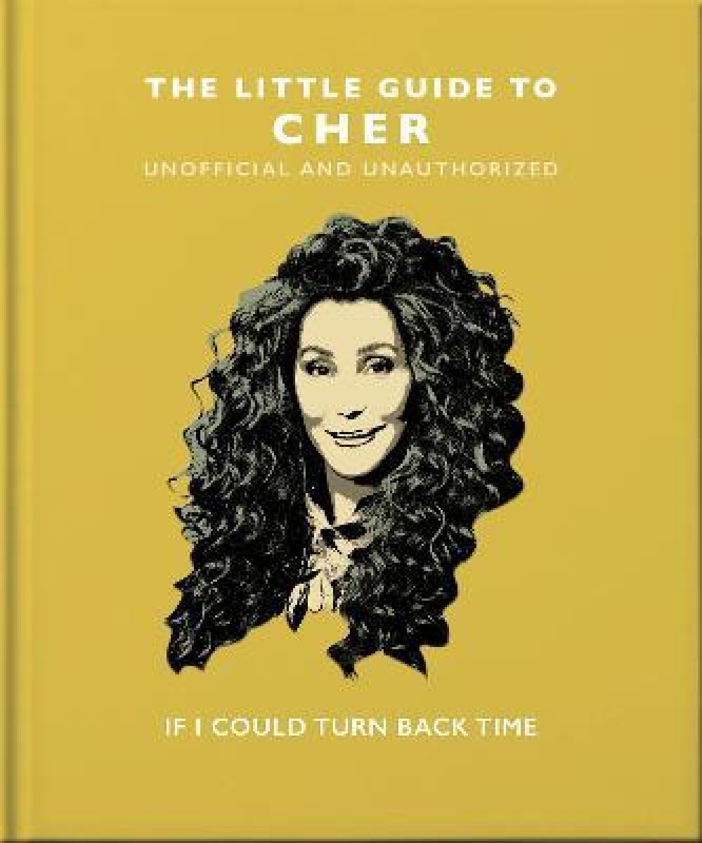 Kniha Little Guide to Cher